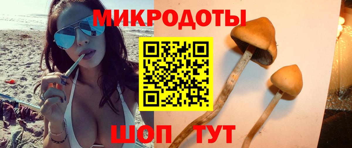Псилоцибиновые грибы прущие грибы Кимры